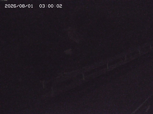 安蔵川１2026/08/01 20:50:00