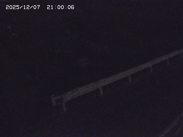 安蔵川１2025/12/08 11:30:00