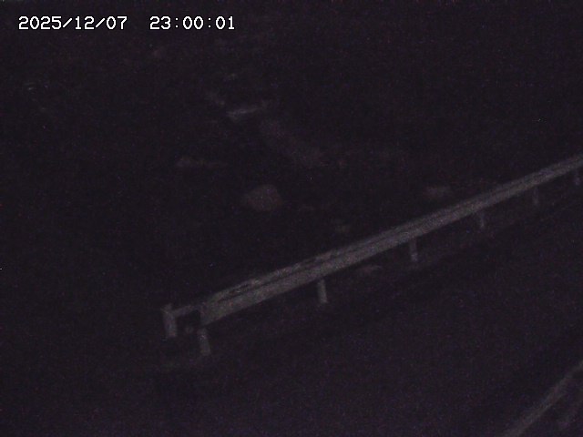 安蔵川１2025/12/08 11:30:00