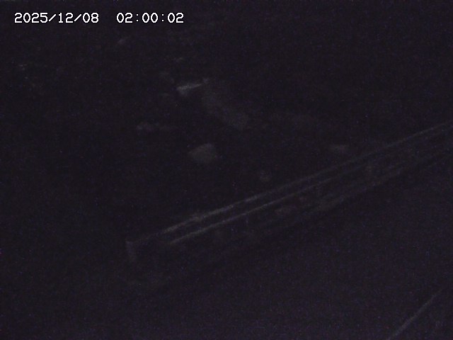 安蔵川１2025/12/08 11:30:00