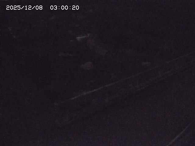 安蔵川１2025/12/08 11:30:00