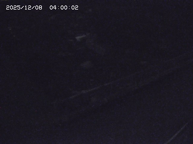 安蔵川１2025/12/08 11:30:00