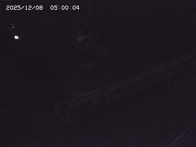 安蔵川１2025/12/08 11:30:00