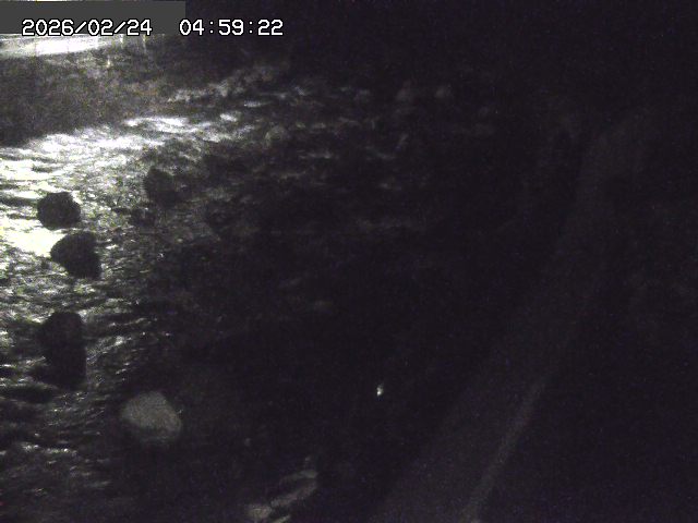 曳田川１2026/02/25 4:20:00