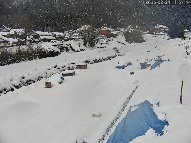 曳田川１2026/02/25 4:20:00