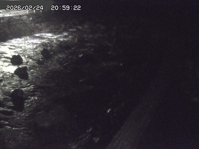 曳田川１2026/02/25 4:20:00