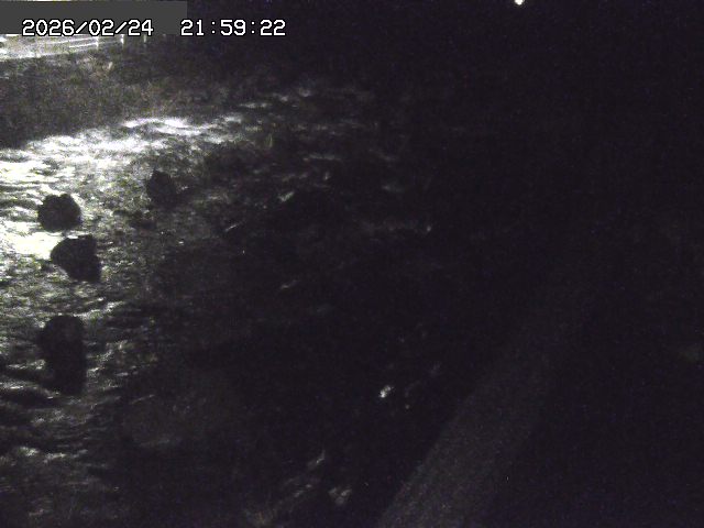 曳田川１2026/02/25 4:20:00