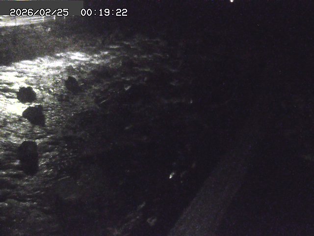 曳田川１2026/02/25 4:20:00