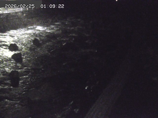 曳田川１2026/02/25 4:20:00