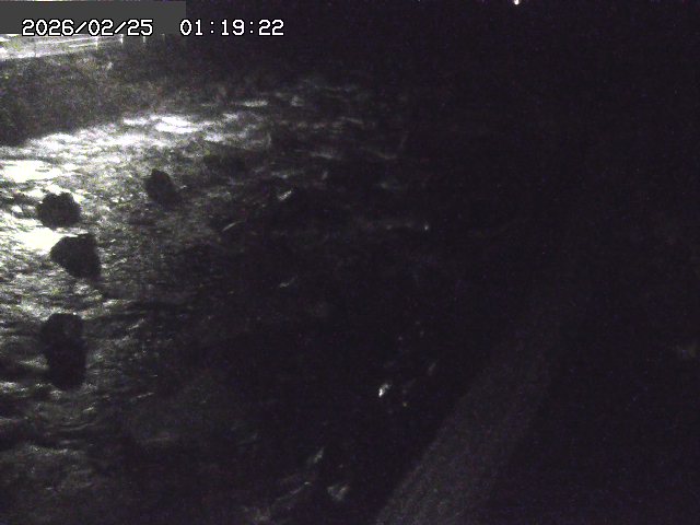 曳田川１2026/02/25 4:20:00