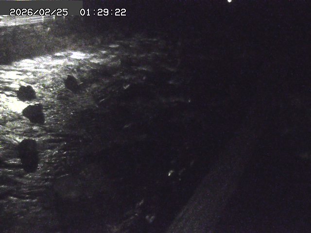 曳田川１2026/02/25 4:20:00