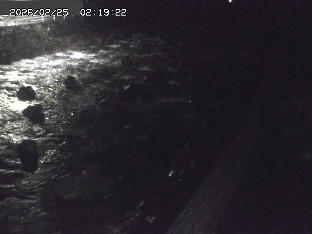 曳田川１2026/02/25 4:20:00