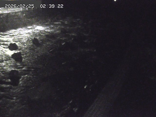 曳田川１2026/02/25 4:20:00