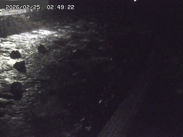 曳田川１2026/02/25 4:20:00