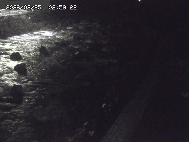 曳田川１2026/02/25 4:20:00