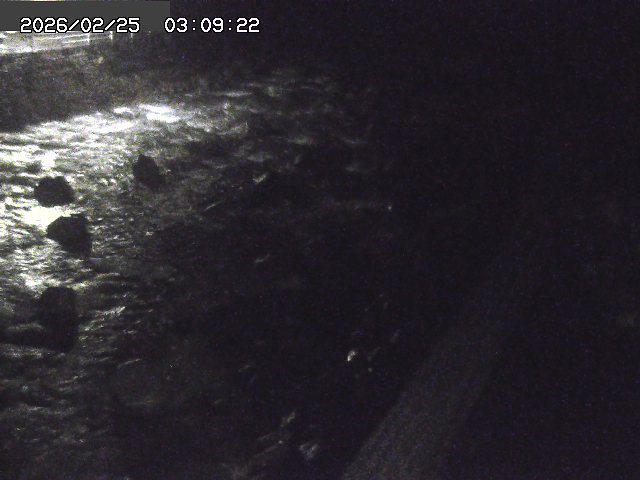 曳田川１2026/02/25 4:20:00