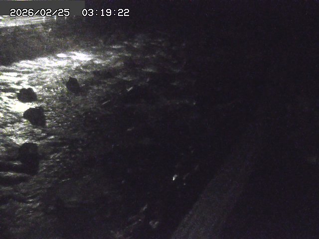 曳田川１2026/02/25 4:20:00