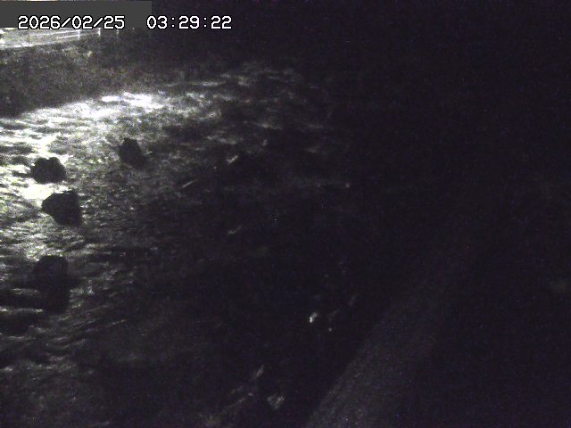 曳田川１2026/02/25 4:20:00