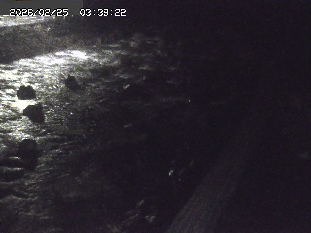 曳田川１2026/02/25 4:20:00