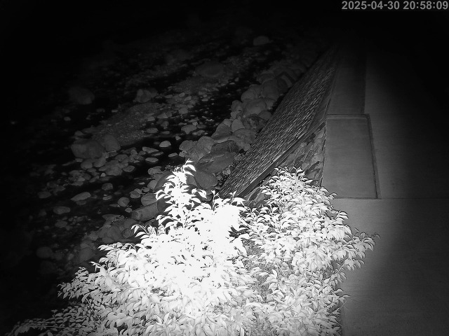 曳田川１2026/05/01 17:00:00