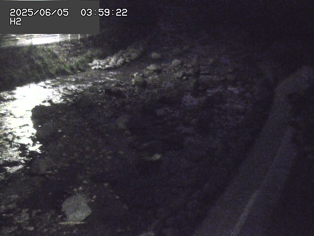 曳田川１2025/06/06 1:20:00