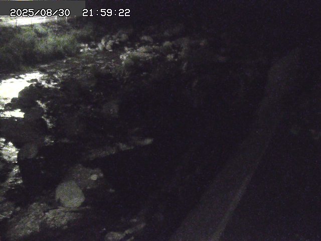曳田川１2025/08/31 9:10:00