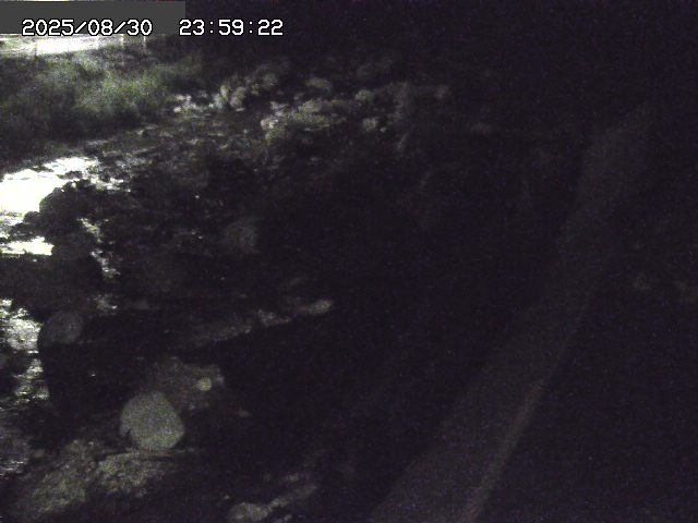 曳田川１2025/08/31 9:10:00