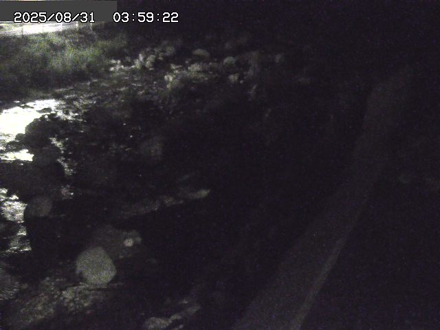 曳田川１2025/08/31 9:10:00