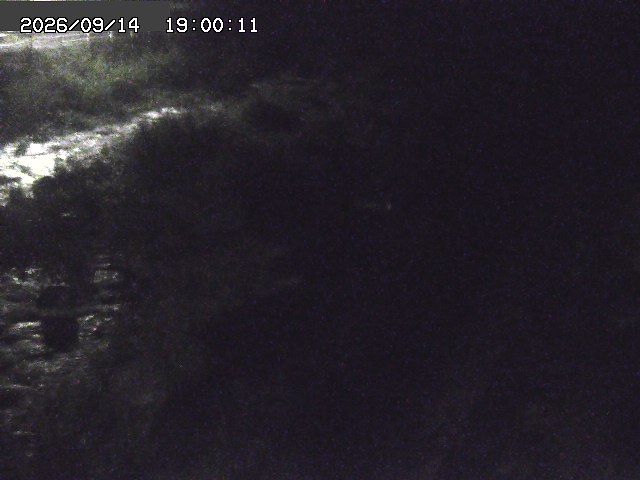 曳田川１2026/09/15 14:40:00