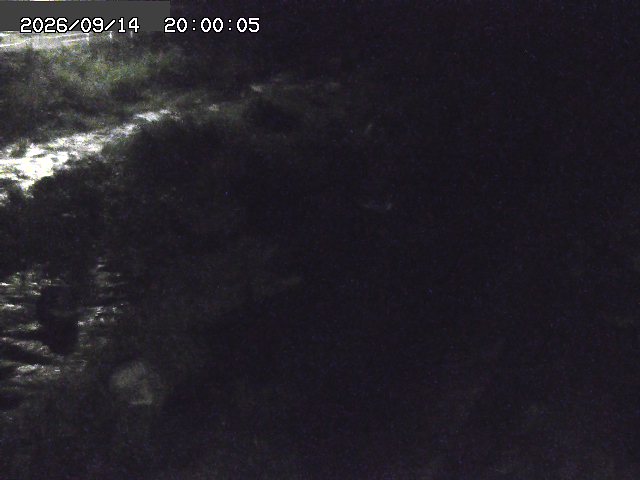 曳田川１2026/09/15 14:40:00