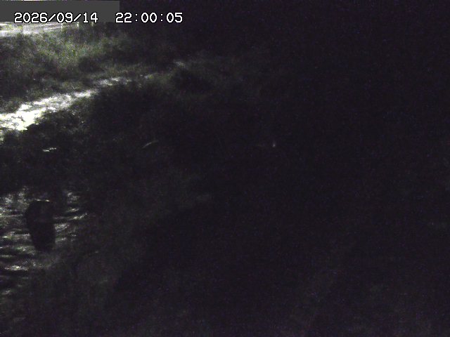 曳田川１2026/09/15 14:40:00