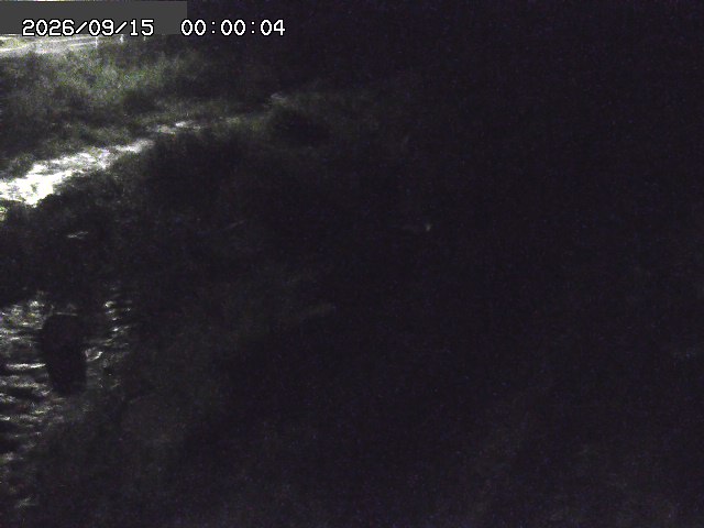 曳田川１2026/09/15 14:40:00