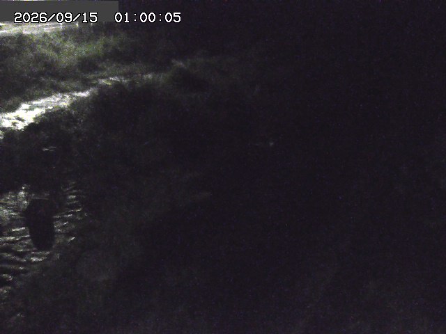 曳田川１2026/09/15 14:40:00
