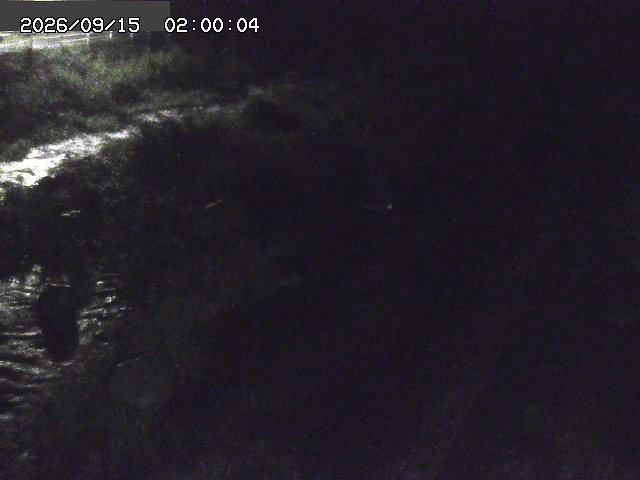 曳田川１2026/09/15 14:40:00