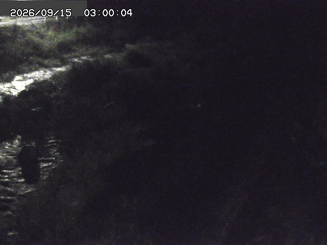 曳田川１2026/09/15 14:40:00