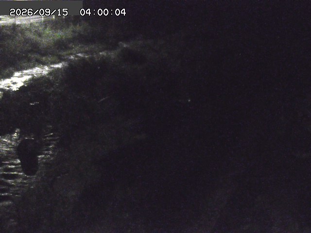 曳田川１2026/09/15 14:40:00