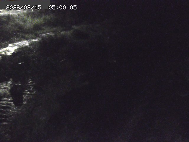 曳田川１2026/09/15 14:40:00
