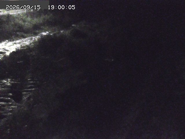 曳田川１2026/09/16 16:40:00
