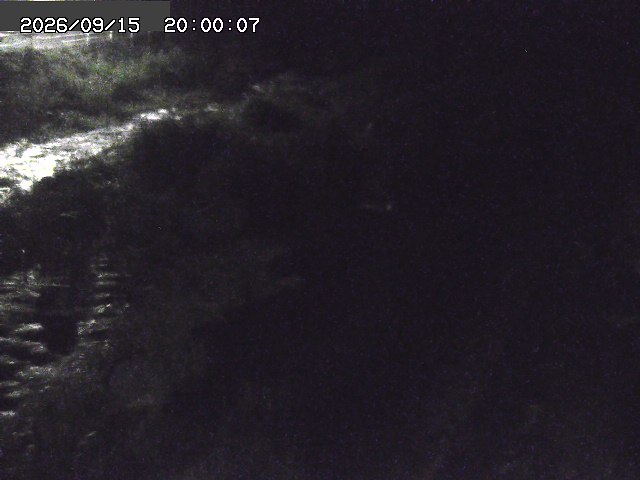 曳田川１2026/09/16 16:40:00