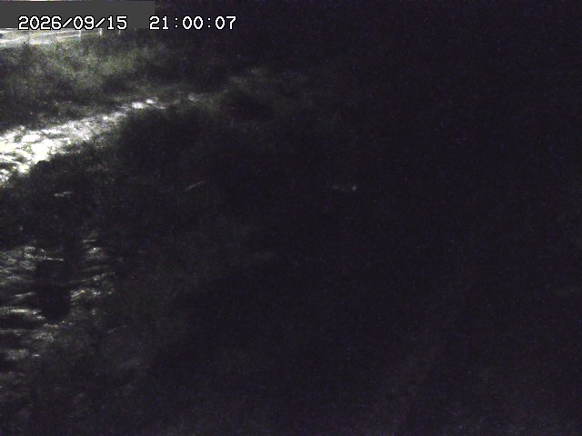 曳田川１2026/09/16 16:40:00