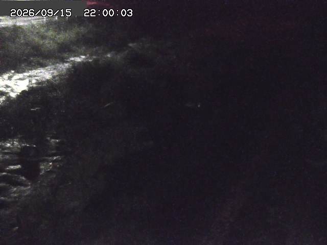 曳田川１2026/09/16 16:40:00