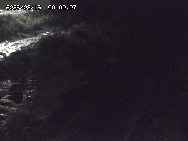 曳田川１2026/09/16 16:40:00