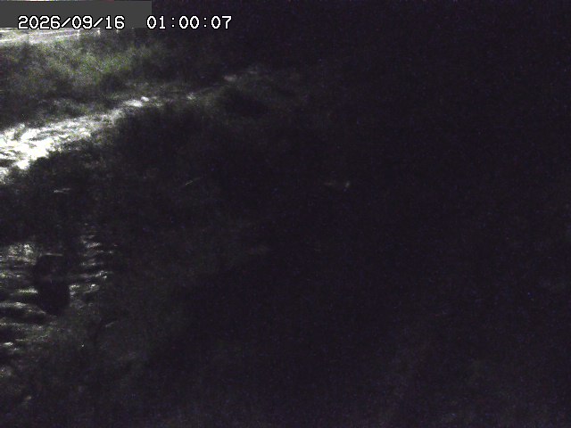 曳田川１2026/09/16 16:40:00
