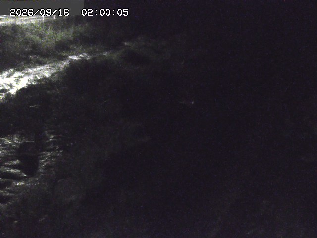 曳田川１2026/09/16 16:40:00