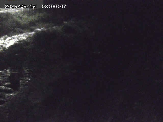 曳田川１2026/09/16 16:40:00