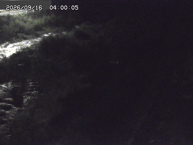 曳田川１2026/09/16 16:40:00