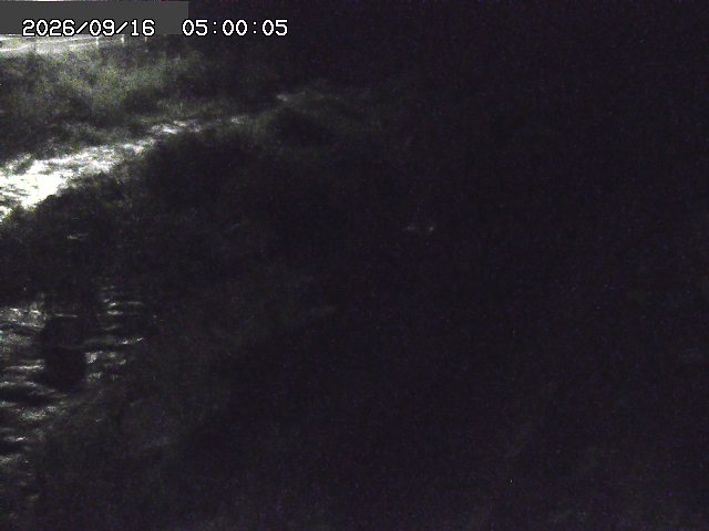 曳田川１2026/09/16 16:40:00