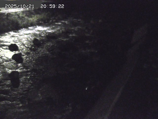 曳田川１2025/10/22 11:30:00