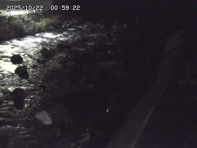曳田川１2025/10/22 11:30:00