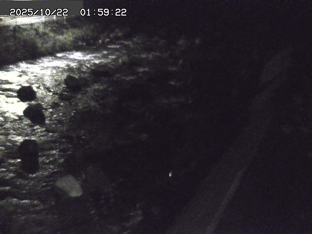 曳田川１2025/10/22 11:30:00